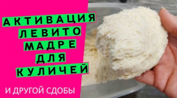 Активация левито мадре//Секреты идеального кулича {Увеличиваем подъемную силу. Часть 2}