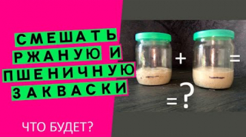 Что получится, если смешать ржаную и пшеничную закваски?? ЭКСПЕРИМЕНТ!?