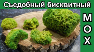 Декор за 1 минуту! Съедобный мох! Сладкая спонж-губка из простых продуктов!
