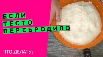 Если тесто перебродило? и ОПАЛО!  ? Что делать? {Наглядный эксперимент}