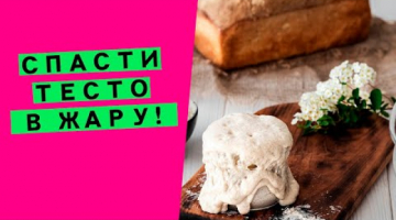 Спасти тесто в жару?: 7 главных секретов! ?